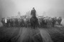 Feature Photo 1st: Cattle Drive by Jesse Boily, Town & Country News