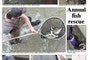 Multi-Photo layout HM: Annual Fish Rescue by Frank McTighe, Fort Macleod Gazette