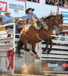 1st-Lloydminster Meridian Source - Hold on tight! Credits: Taylor Weaver
